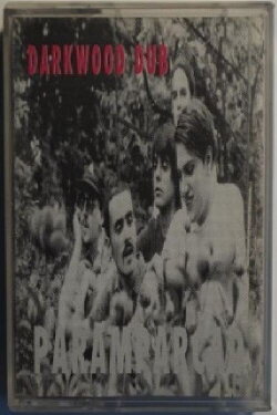 Shattered to Pieces (1999) Shattered to Pieces (1999)