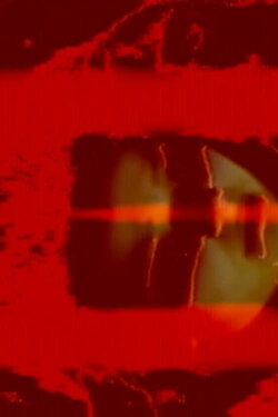 She Can Run, She Can Hide (2019) She Can Run, She Can Hide (2019)