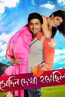 Shedin Dekha Hoyechilo (2010) Shedin Dekha Hoyechilo (2010)