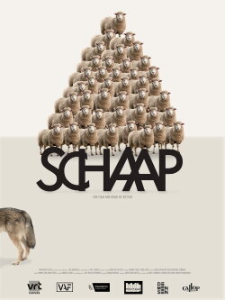 Sheep (2025)