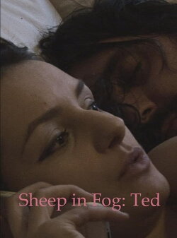 Sheep in Fog (2016) Sheep in Fog (2016)