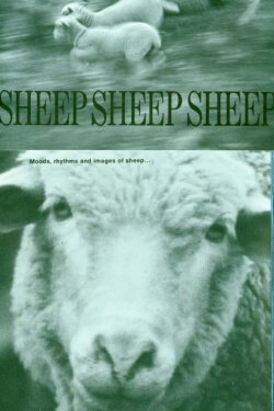 Sheep, Sheep, Sheep (1969) Sheep, Sheep, Sheep (1969)