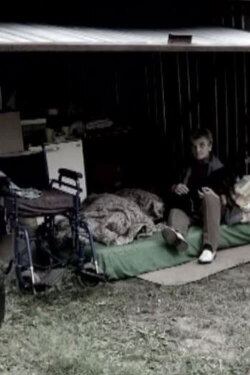 Shell (2008)