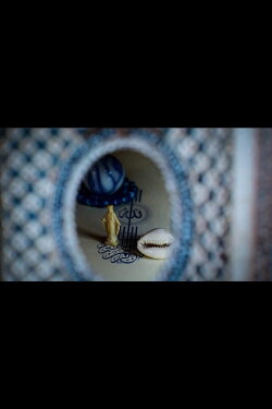 Shell Fables ~ a Curious Cabinet of Beings & Becoming (2022) Shell Fables ~ a Curious Cabinet of Beings & Becoming (2022)