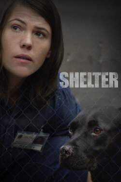 Shelter (2015) Shelter (2015)