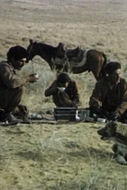 Shepherd's Friend (1972)