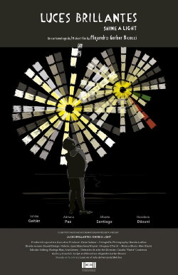 Shine a Light (2016)