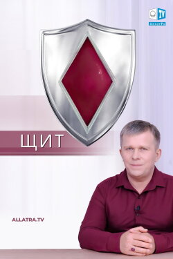 Щит (2019) Щит (2019)