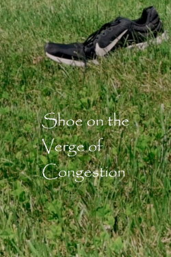 Shoe on the Verge of Congestion (2025)