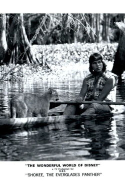Shokee, the Everglades Panther (1974) Shokee, the Everglades Panther (1974)