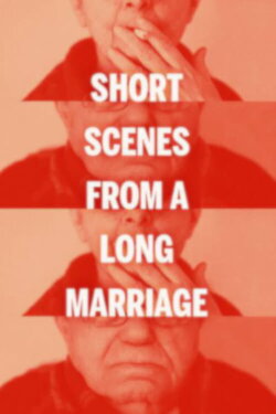 Short Scenes from a Long Marriage (2011) Short Scenes from a Long Marriage (2011)