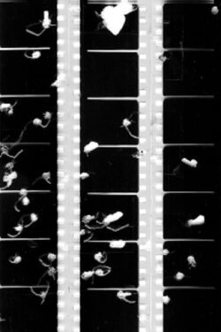 Shot Film (2009) Shot Film (2009)