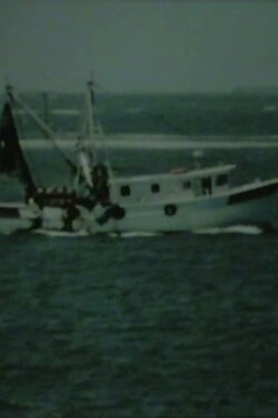 Shrimp Boat Log (2006) Shrimp Boat Log (2006)