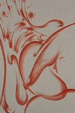 Shunga (2009)
