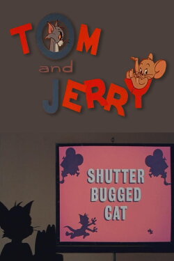 Shutter Bugged Cat (1967) Shutter Bugged Cat (1967)