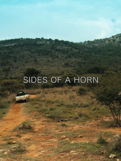 Sides of a Horn (2018)