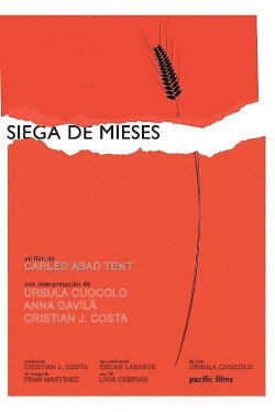 Siega de Mieses (2020) Siega de Mieses (2020)