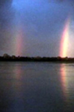 Sierra y Selva, arte chamánico en Perú (2007) Sierra y Selva, arte chamánico en Perú (2007)