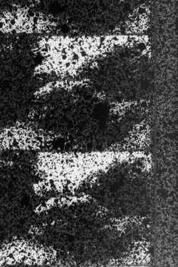 Signal (1970) Signal (1970)