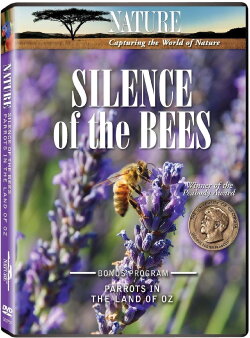 Silence of the Bees (2008) Silence of the Bees (2008)