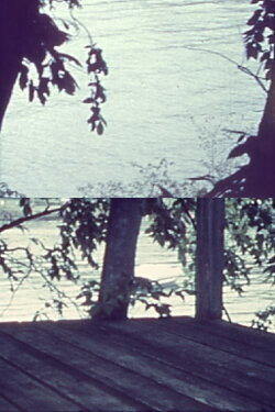 Silently, Bearing Totem of a Bird (1962) Silently, Bearing Totem of a Bird (1962)