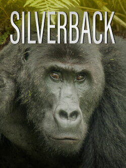 Silverback (2024) Silverback (2024)