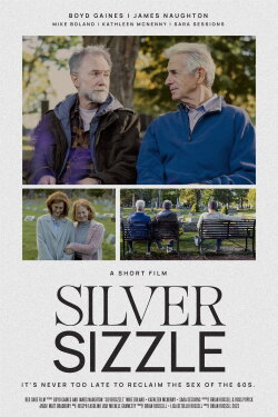 SilverSizzle (2024) SilverSizzle (2024)