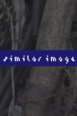 Similar Image (2021) Similar Image (2021)