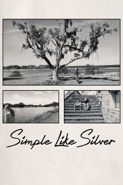 Simple Like Silver (2021) Simple Like Silver (2021)