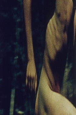 Sincerity (1980)