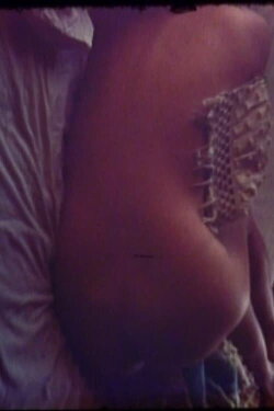 Sincerity III (1978)