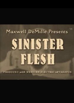 Sinister Flesh (1976) Sinister Flesh (1976)