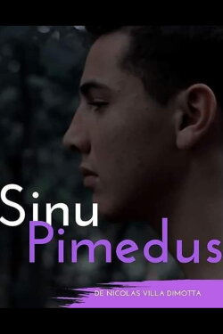 Sinu Pimedus (2019)