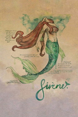 Siréne (2021) Siréne (2021)