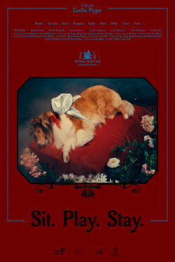 Sit. Play. Stay. (2024) Sit. Play. Stay. (2024)