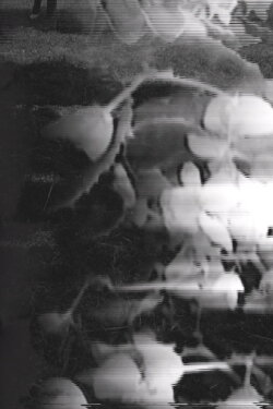 Six Variations on the Same Theme: Third Variation (2020)
