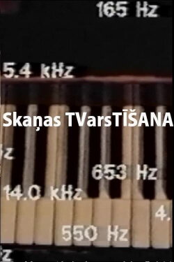 Skaņas TVarsTĪŠANA (1993) Skaņas TVarsTĪŠANA (1993)