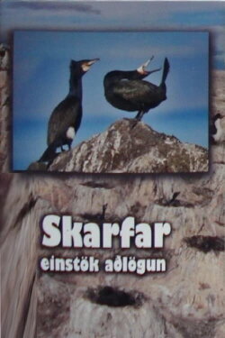 Skarfar (2010)