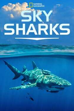 Sky Sharks (2022) Sky Sharks (2022)