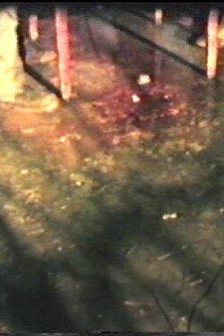 Slaughter Ahoy (1981)