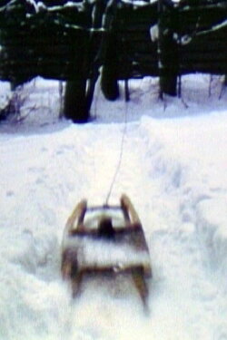 Sled (1980)