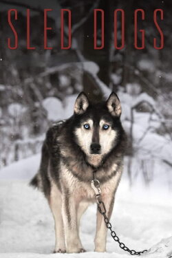 Sled Dogs (2017) Sled Dogs (2017)