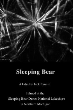 Sleeping Bear (2011) Sleeping Bear (2011)