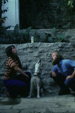 Sleeping Dogs (Never Lie) (1978) Sleeping Dogs (Never Lie) (1978)