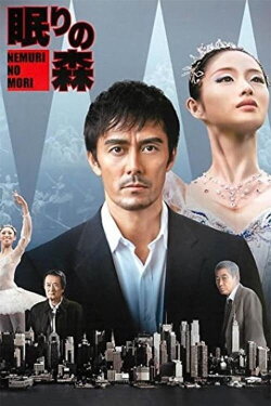 Sleeping Forest (2014) Sleeping Forest (2014)