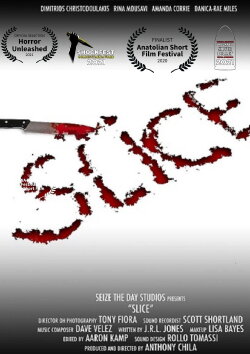 Slice (2020) Slice (2020)