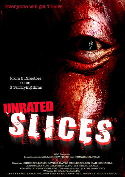 Slices (2008) Slices (2008)