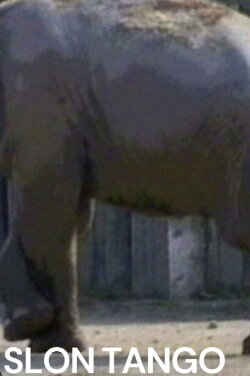 Slon Tango (1993)