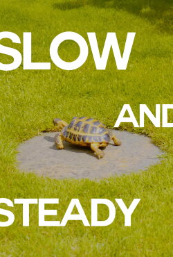 Slow and Steady (2024) Slow and Steady (2024)