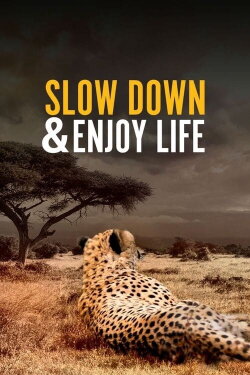 Slow Down and Enjoy Life (2020) Slow Down and Enjoy Life (2020)